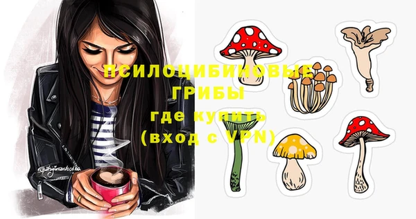 прущий лед Алзамай