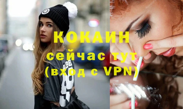 прущий лед Алзамай