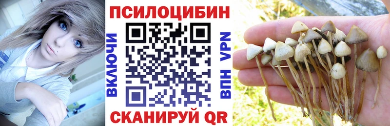 сколько стоит  мега зеркало  Псилоцибиновые грибы Psilocybine cubensis  Джанкой 
